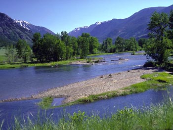 Stillwater in Spring
